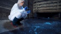 Spill Management Training [2023, MP4] - <span>Video for Seamen › Other videos</span>